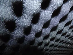 absorb
