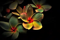 abstract
