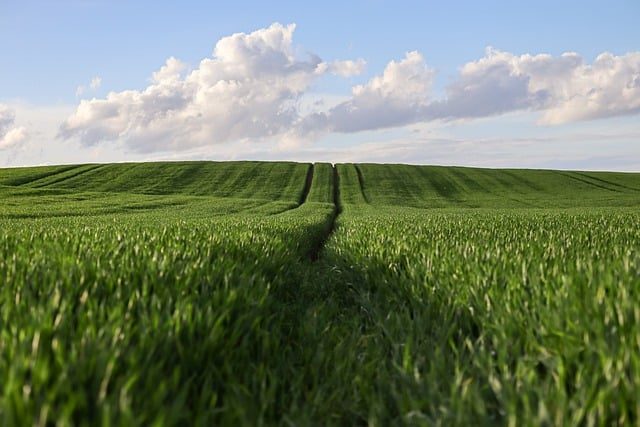 agricultural