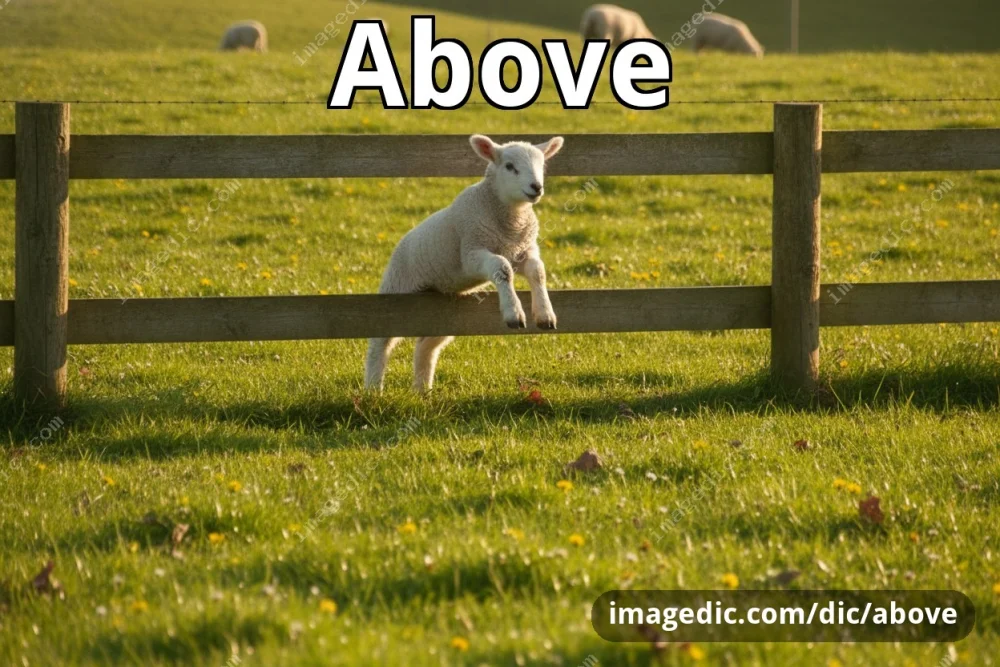 above
