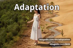 adaptation