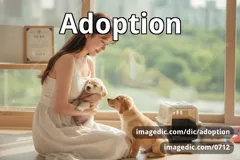 adoption