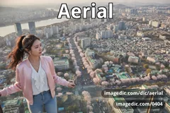 aerial