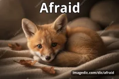 afraid