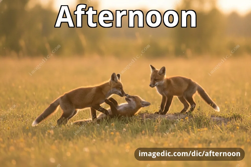 afternoon