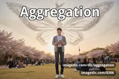 aggregation