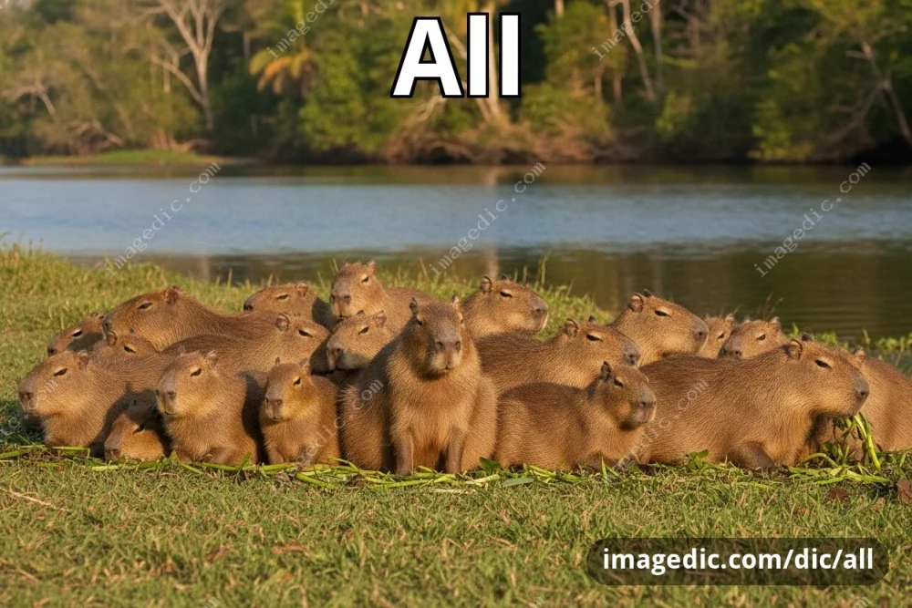 all
