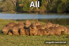 all