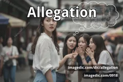 allegation