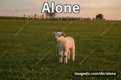 alone