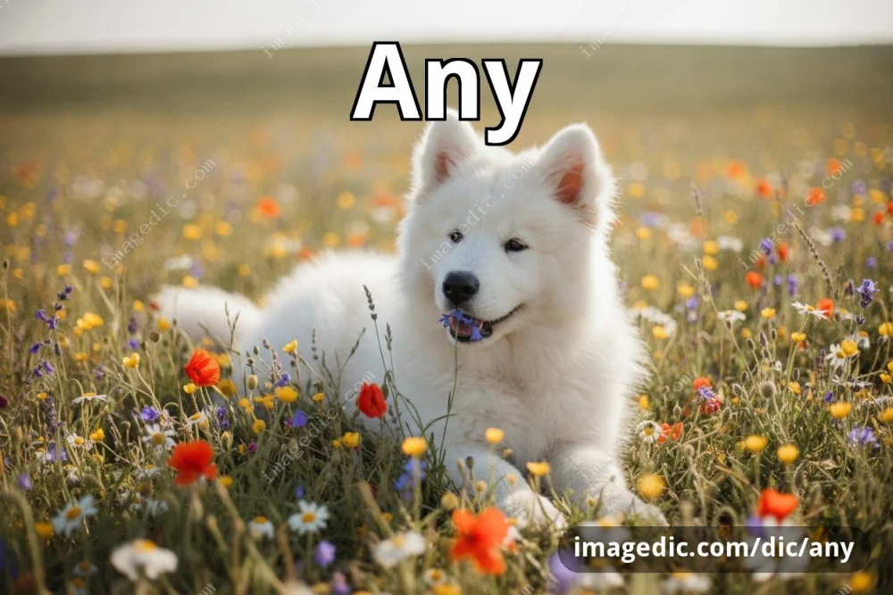 any
