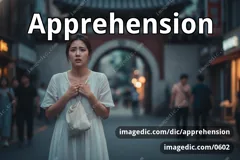 apprehension