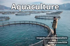 aquaculture