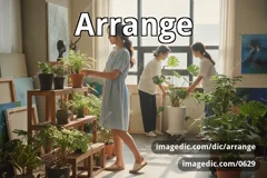 arrange