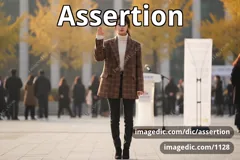 assertion