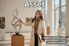 asset