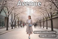 avenue