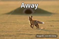 away