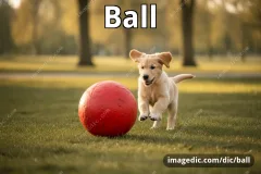 ball