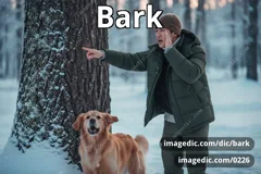 bark