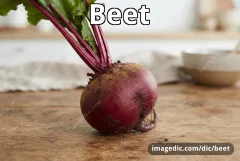 beet