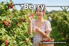 berry
