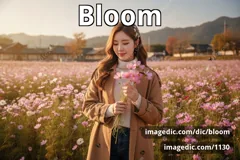 bloom