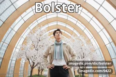 bolster