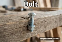 bolt
