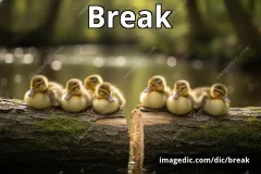 break