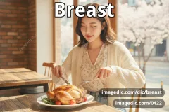 breast