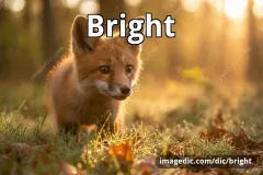 bright
