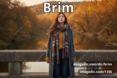 brim