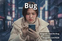 bug