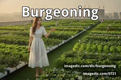 burgeoning