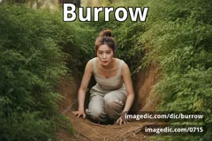 burrow