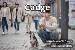 cadge