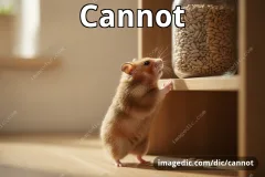 cannot