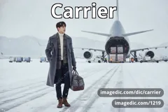 carrier