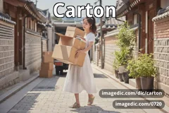carton