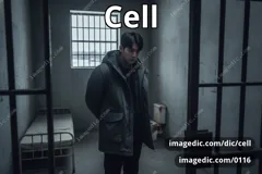cell