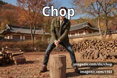 chop