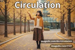 circulation