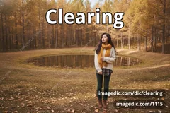 clearing