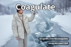 coagulate