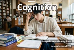 cognition