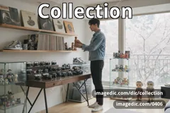 collection