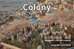 colony
