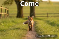 come