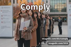 comply